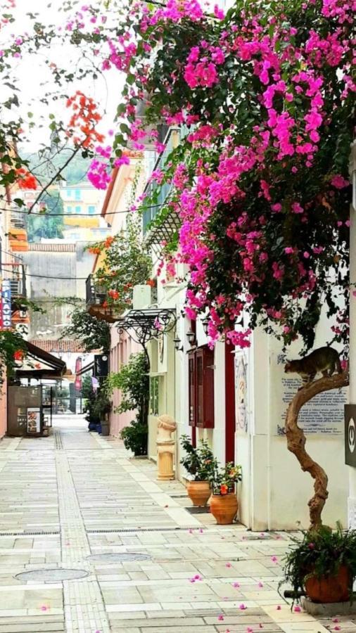 Αυλή Apartment Nafplio Ngoại thất bức ảnh